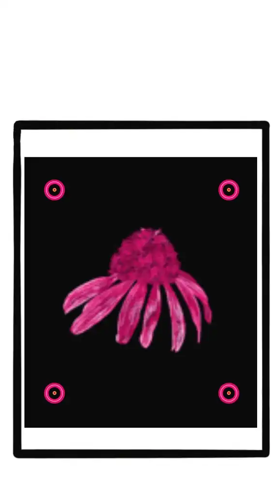 Black Coneflowers gift tag