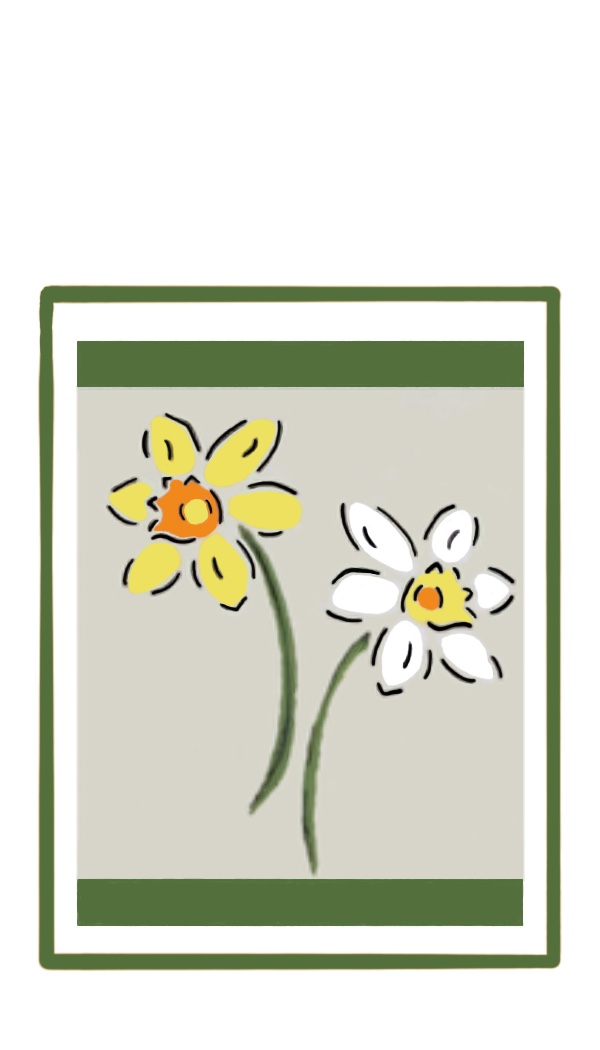 Daffodils gift tag