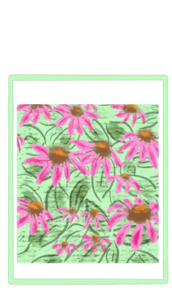 Pink Coneflowers gift tag