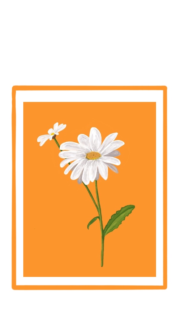 White Daisy gift tag