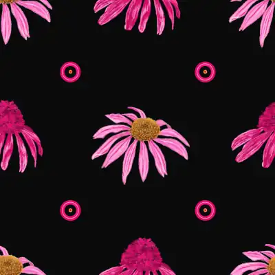 Black Coneflowers gift wrap