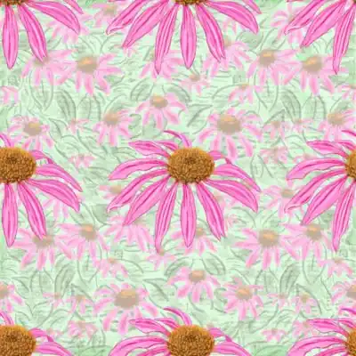 Pink Coneflowers gift wrap