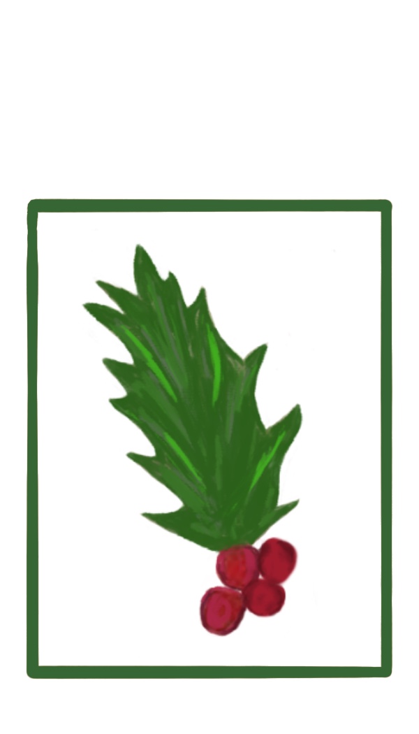 Holly gift tag