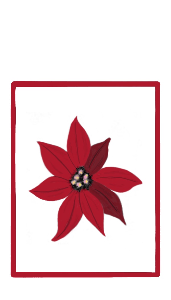 Poinsettia gift tag