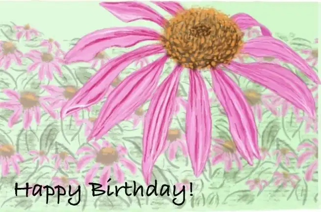 Pink Coneflower birthday card