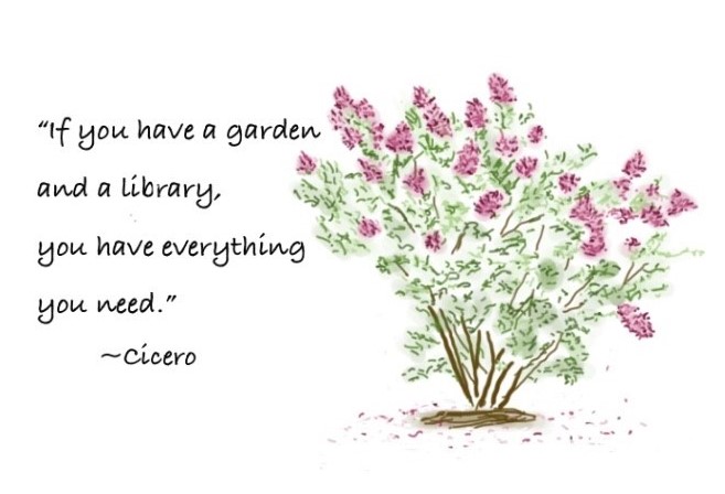 Crepe Myrtle everyday card