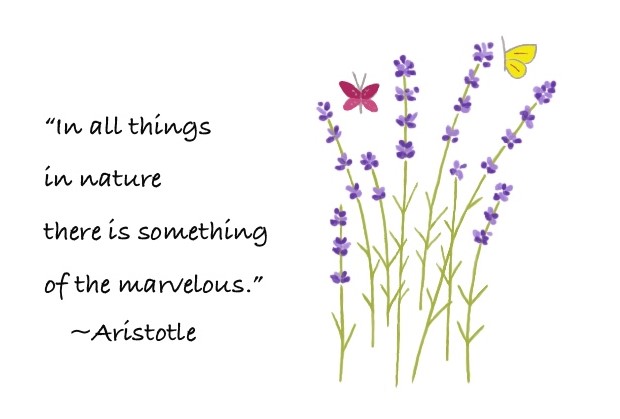 Lavender everyday card