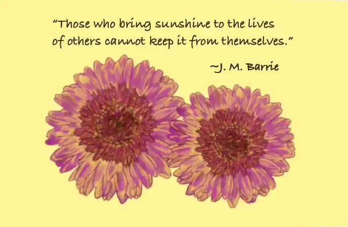 Pink Gerbera everyday card