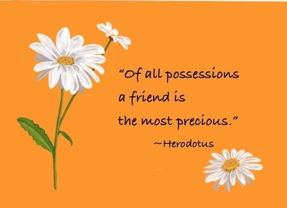 White Daisy everyday card