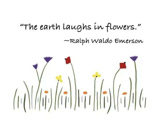 Wildflowers everyday card