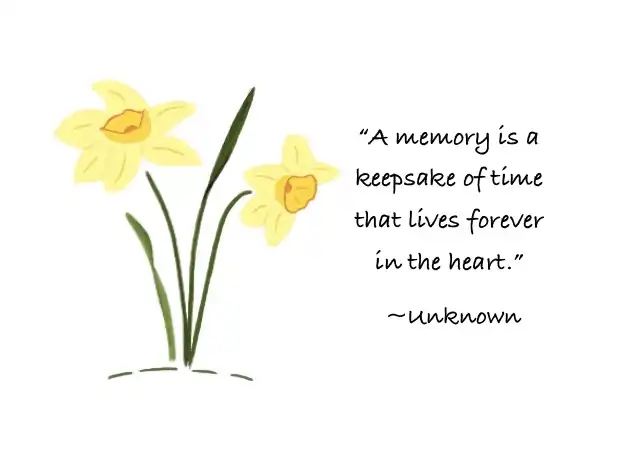 Daffodil sympathy card