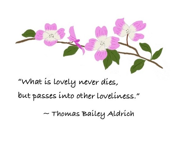 Dogwood sympathy card