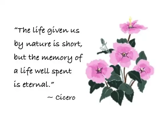 Hibiscus sympathy card