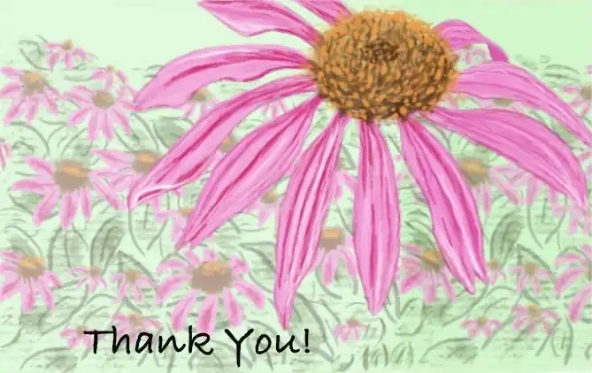 Pink Coneflower Thanks thank you card